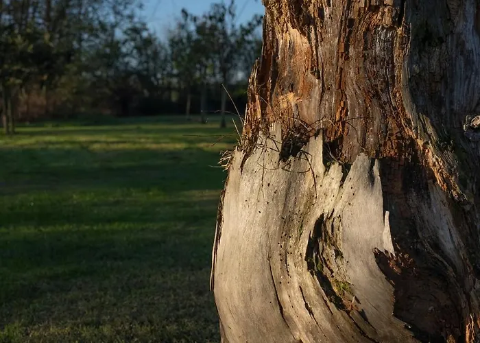 Bed & Breakfast La Garoffe 3*